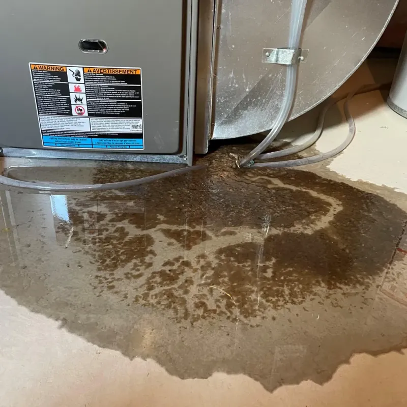 Appliance Leak Cleanup in Burnet County, TX